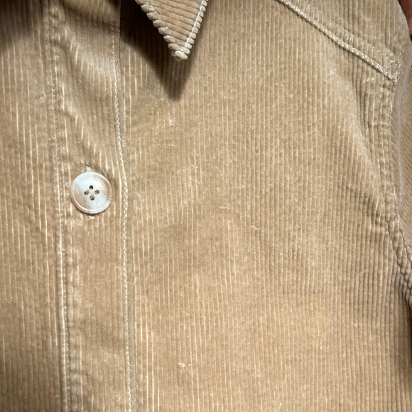 PARIS ATELIER & OTHER STORIES CAMEL CORDUROY JACKET - Picture 7 of 8